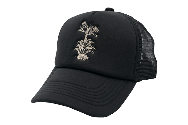 Gorras Mezcaloteca