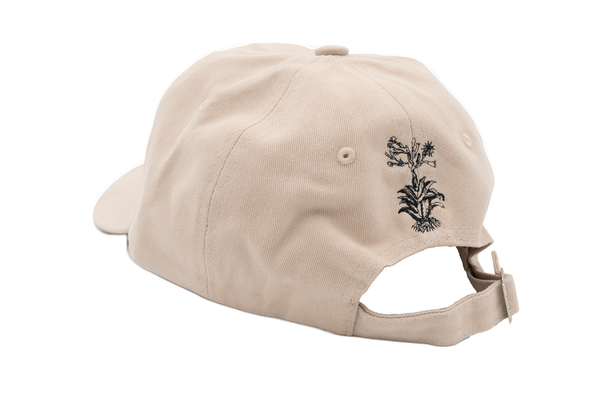 Gorras Mezcaloteca